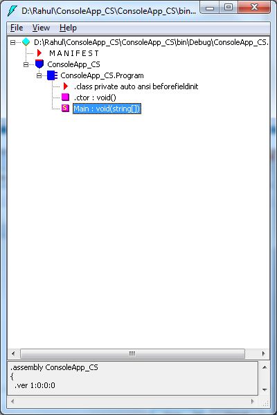 exe file loads in IL Disassembler